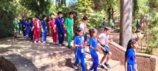 Field Trip